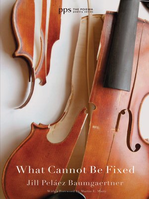 cover image of What Cannot Be Fixed